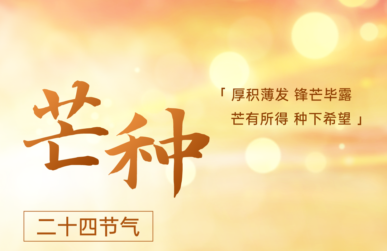 衣恋阳光四驱晾衣机｜有收有种